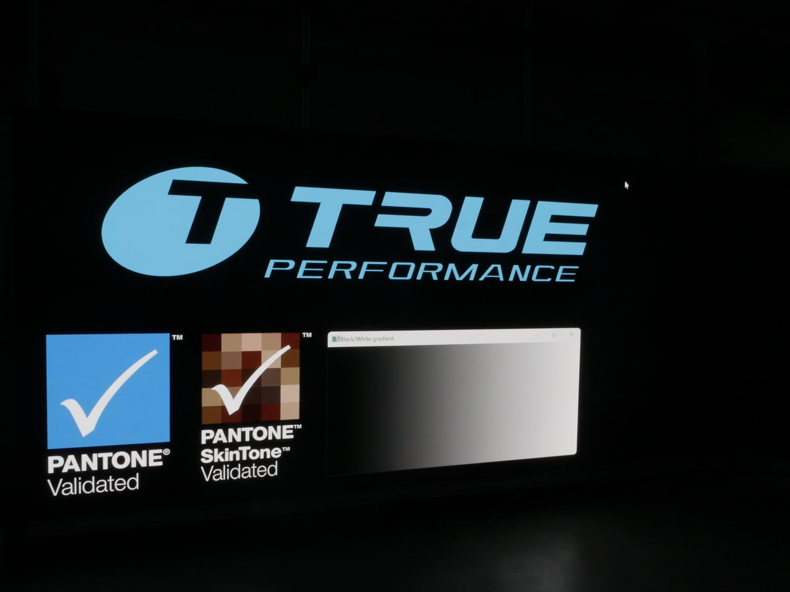 TRUE Logo mit den Marken Pantone Validated und Pantone SkinTone Validated auf einer dvLED LED-Wand